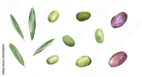 Watercolor set green and black olives and leaves isolated on a white background. Olives. Hand-drawn illustration