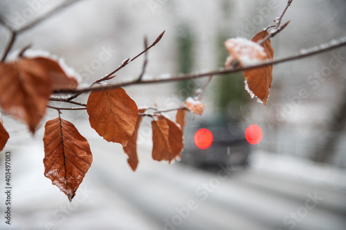 winterliche strasse bei schneefall 3