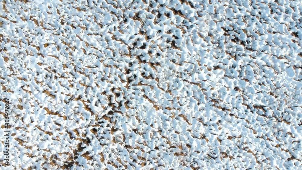 Snow covered marshland creates an intricate pattern in the peat moss. Snow covered marshland creates an intricate pattern in the peat moss.