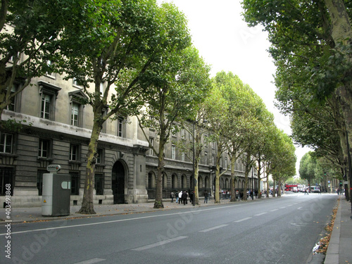 Empty street in Paris with a row of green trees in a quiet autumn day