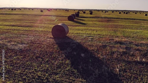 Aerial view of hay bales at sunset in summer. Top view of hay stacks. Agriculture. Field after harvest with hay rolls. Landscape with farm land, straw and meadow. Grain crop, harvesting yellow wheat