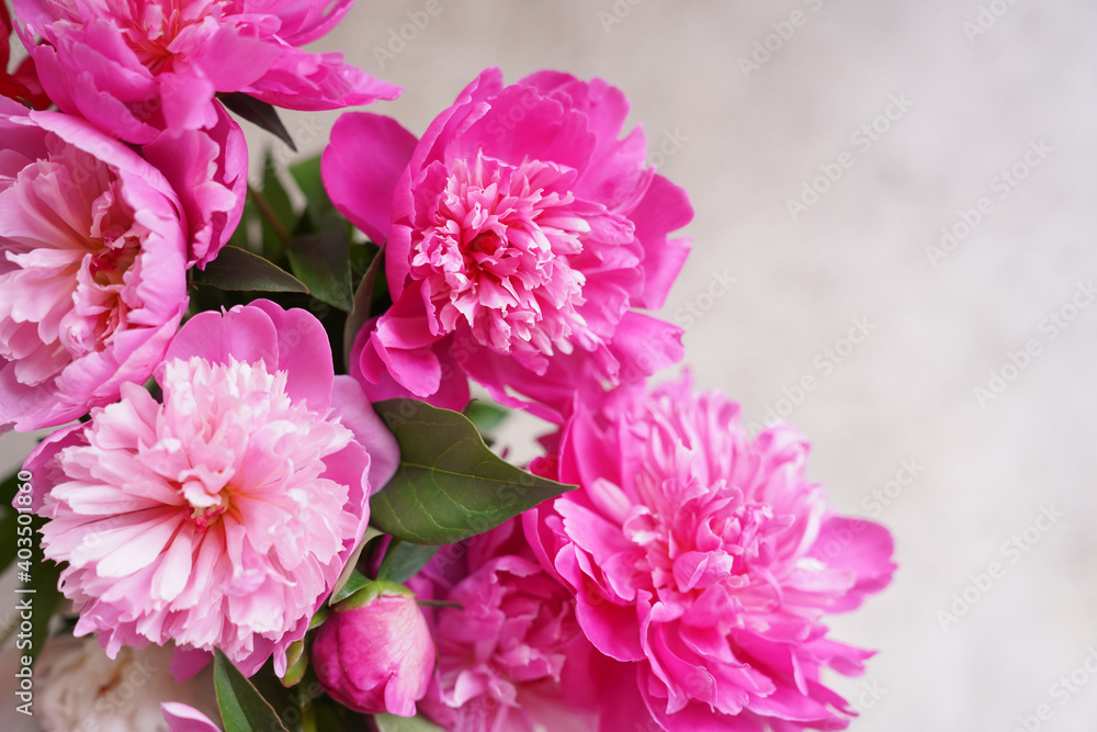 Bouquet of pink peonies on a beige picturesque background with a copy space