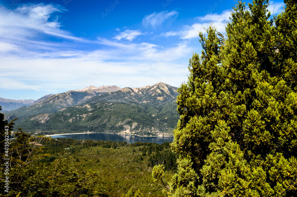 Lush green tree on the beautiful lake and mountainscape background, Bariloche, Argentina