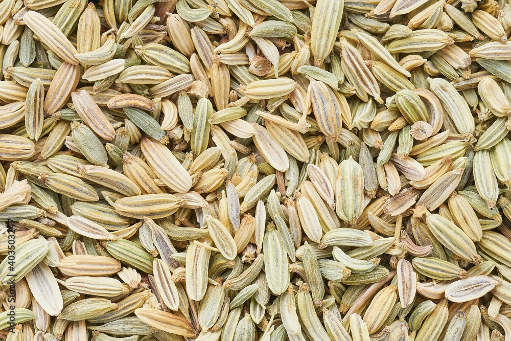 Fennel seeds background. Food background, top view. Selective focus Fennel seeds background. Food background, top view. Selective focus