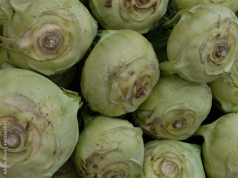 Obraz premium Kohlrabi sortiert