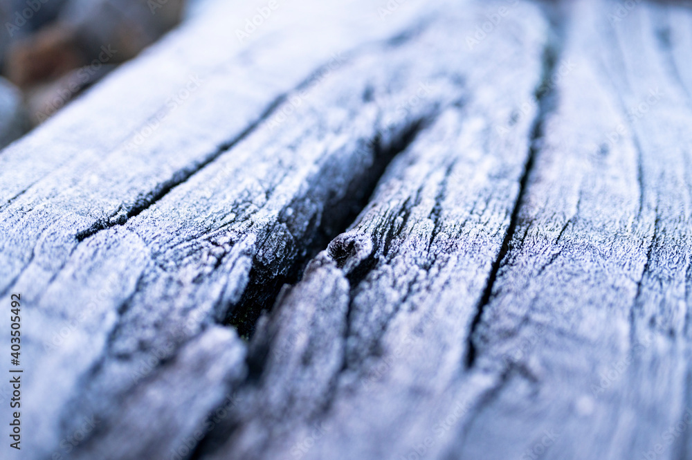 frozen wood