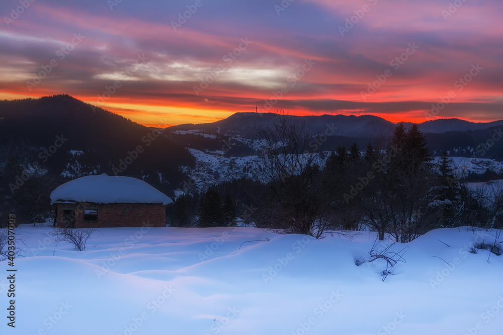 Winter forest, mountain landscape in the wintertime, snow-covered trees. Bulgaria, Gela, Rhodope Mountains