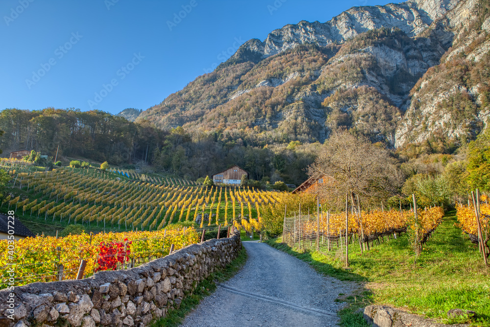 Countryside autumn landscape with vineyards in Swiss Alps. Vineyards after harvest in Quinten village at the lake Walensee. Switzerland, Europe