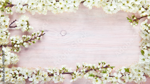 Spring background with branches of a blossoming apricot tree.