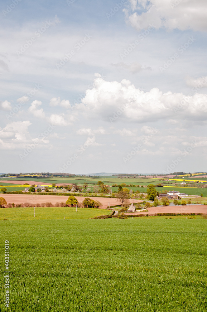 Springtime landscape in England.