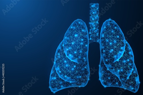 Human lungs. Internal respiratory organ. Polygonal construction of lines and points. Blue background.