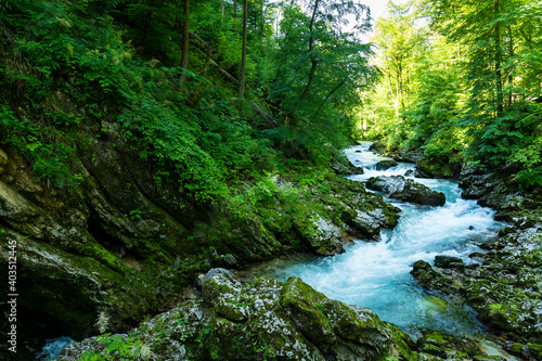 blue river in a forest