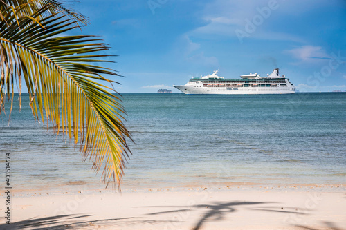 palm tree beach and cruise ship