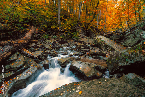 Fototapeta Naklejka Na Ścianę i Meble -  A creek flows over rocky boulders in autumn