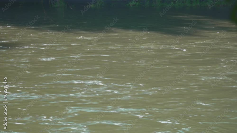 Riverbed of river in summer Riverbed of river in summer