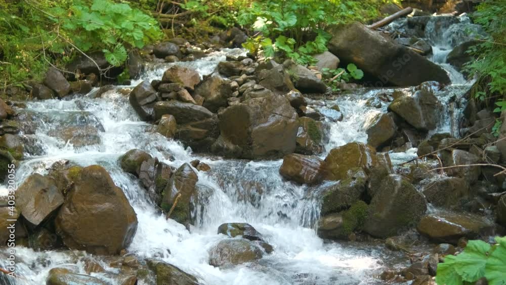 Close up of small mountain stream with clear blue water flowing between wet stones in summer forest.
Close up of small mountain stream with clear blue water flowing between wet stones in summer forest.