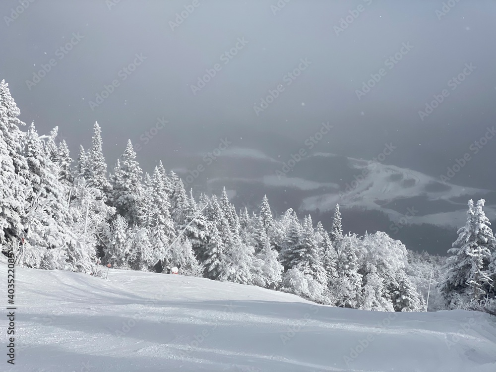 View to ski slopes with lot of fresh powder snow at Stowe Mountain resort VT in early December