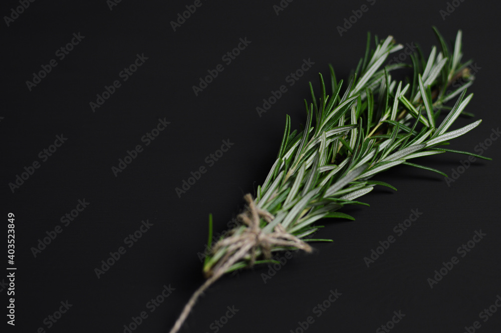 bunch of rosemary tied with string whit shot from the top on a black background