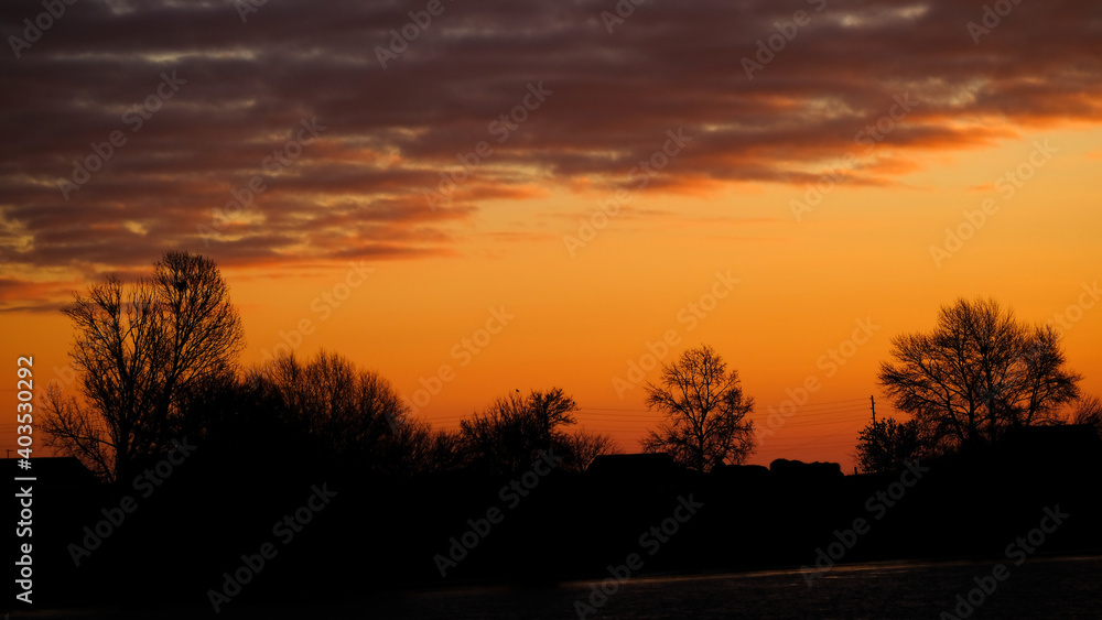 Silhouettes of houses and trees at sunset Silhouettes of houses and trees at sunset