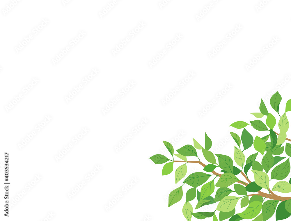 葉2 新緑 緑 葉2 新緑 緑