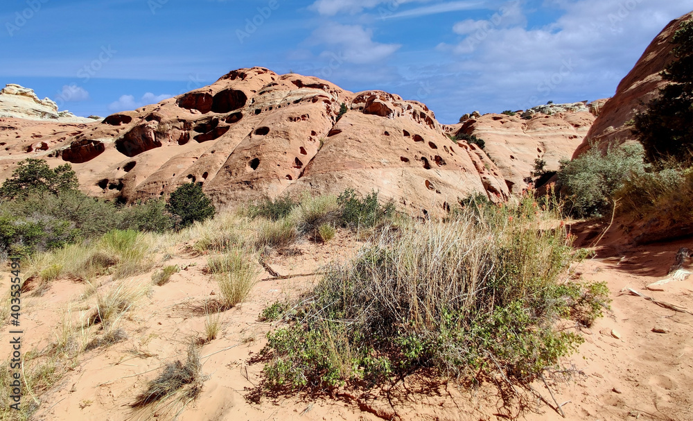 Golden sandstone geographical formations with a desert prairie landscape on a hot summer day at the Cohan Canyon Trail in Capitol Reef National Park Southern Utah. Golden sandstone geographical formations with a desert prairie landscape on a hot summer day at the Cohan Canyon Trail in Capitol Reef National Park Southern Utah.