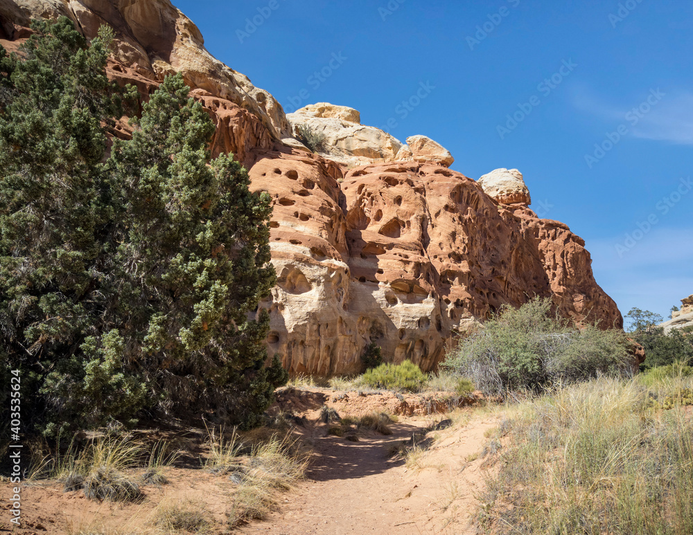 Fototapeta premium Golden sandstone geographical formations with a desert prairie landscape on a hot summer day at the Cohan Canyon Trail in Capitol Reef National Park Southern Utah.