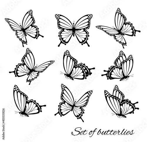 Set of butterflies, flying in different directions. Butterfle silhouette. Vector.