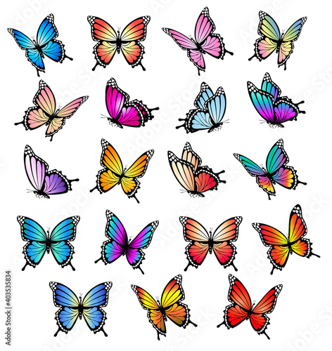 Canvas Print Colorful butterflies set. Vector.