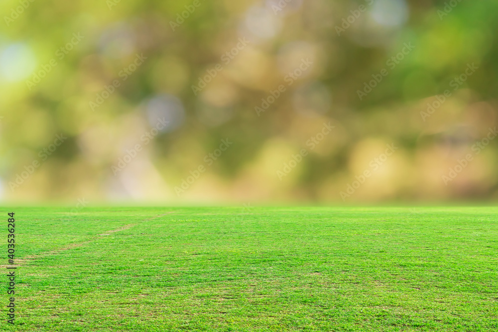 Green grass field and blurred bokeh nature background.