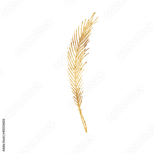 Watercolor Gold feather. Texture for fabric. Design for postcards.