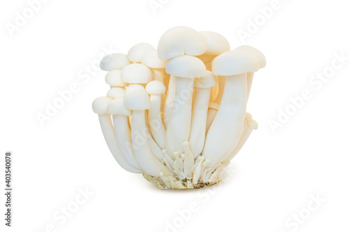 Valokuva White beech mushrooms or Shimeji mushroom isolated on white background