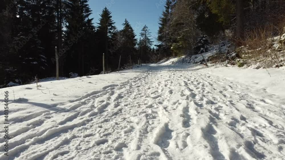 Drone flies just above the snow on the ground in a forest in winter Drone flies just above the snow on the ground in a forest in winter