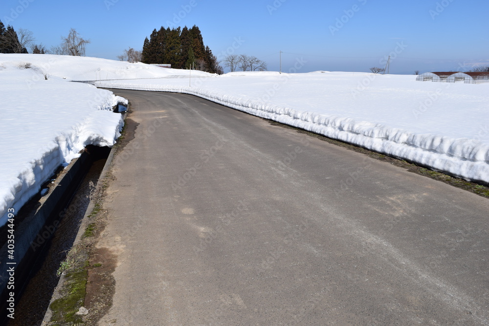 雪国の道路 山形県庄内