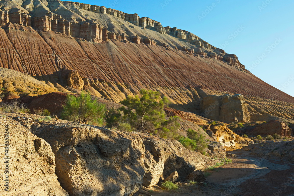 Almaty, Kazakhstan - 06.25.2013 : Trees and shrubs growing along the sandy and rocky hills in the Altyn Emel Nature Reserve