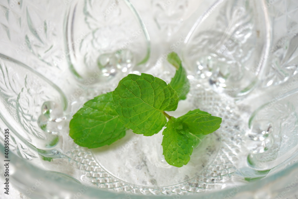 Mint leaves in shiny transparent glass bowl in selective focus white background Mint leaves in shiny transparent glass bowl in selective focus white background