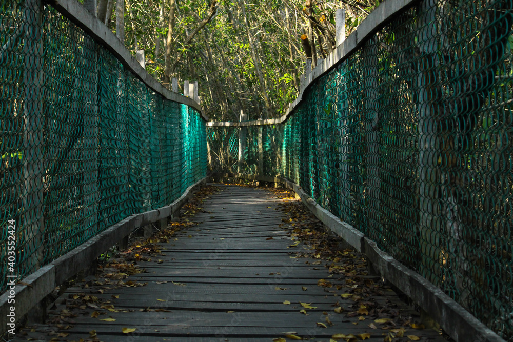 Fototapeta premium Puente de madera rustico en medio de la selva en atardecer (Jalisco, México) 