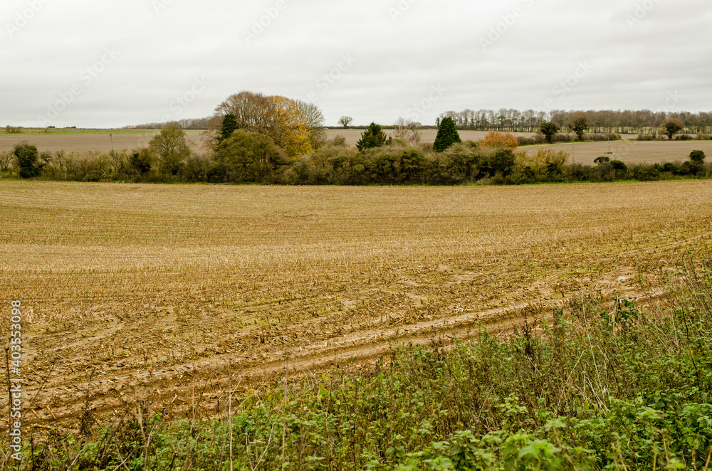 Arable Fields near Dummer, Basingstoke on an Autumn day