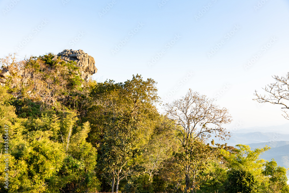 Signs of Pha Hua Sing name of the lion face rock in Thai language at Doi Samer Dao national park - Nan province, Thailand