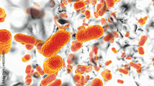 Multidrug resistant bacteria. Biofilm of bacteria Acinetobacter baumannii photo