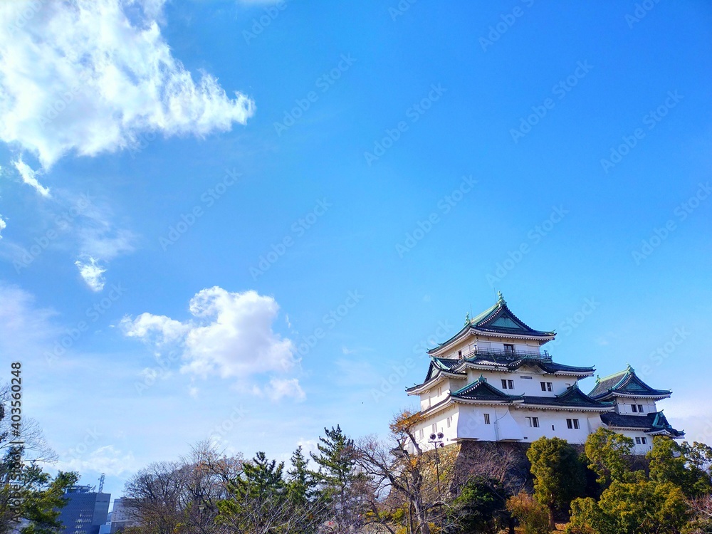 冬の空と日本の城の風景