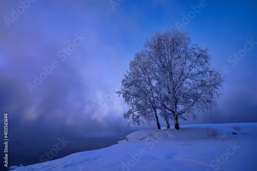 Winter landscape view of trees covered with fresh snow on shore of river