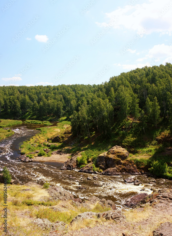 Fast mountain stream flowing between green shores