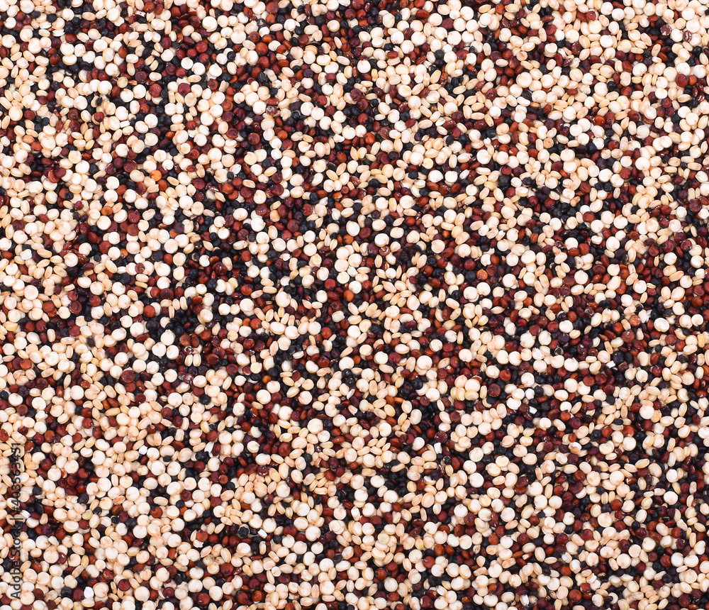 Coriander seeds isolated on white background Coriander seeds isolated on white background