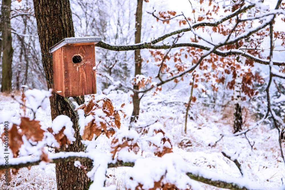 Birdhouse in winter. The snow on the birdhouse. Frosty winter morning. Shelter for birds. Ecology concept.