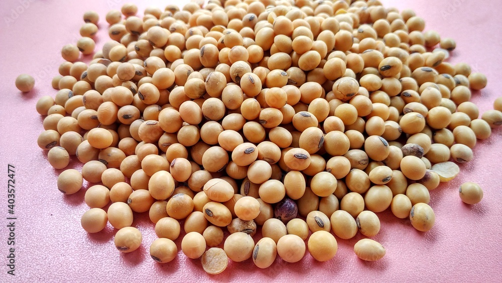 A pile soybeans isolated on pink background. Glycine max is the best nut for protein intake A pile soybeans isolated on pink background. Glycine max is the best nut for protein intake