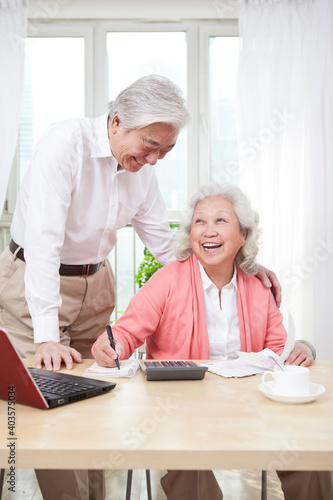 An old couple using laptop and calculator