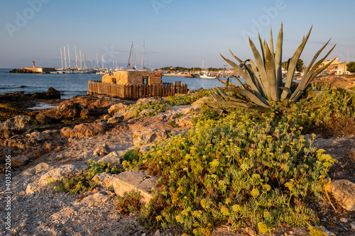 vivero d'en Roca, Estanyol, Llucmajor, Mallorca, Balearic Islands, Spain photo