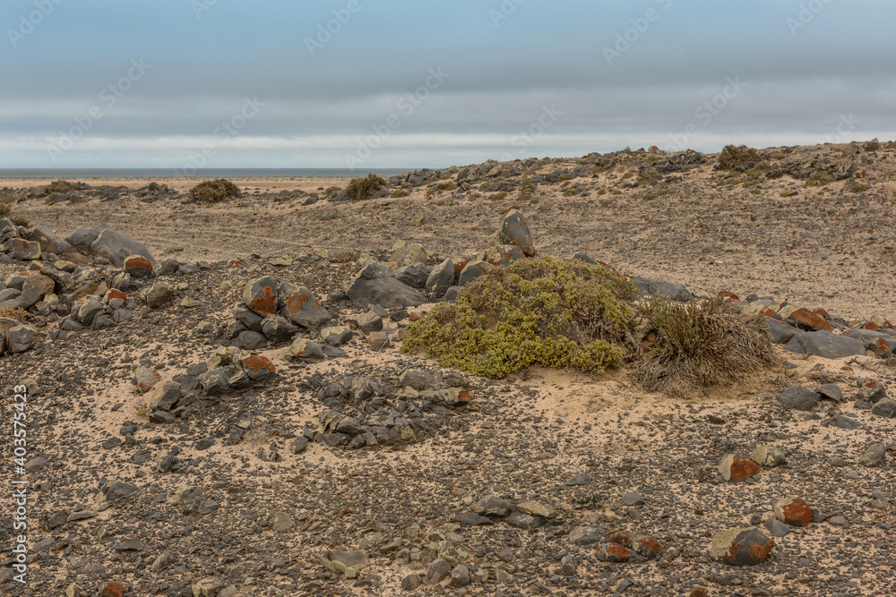 beautiful stony landscape in the Namib Desert near the Atlantic coast, Namibia