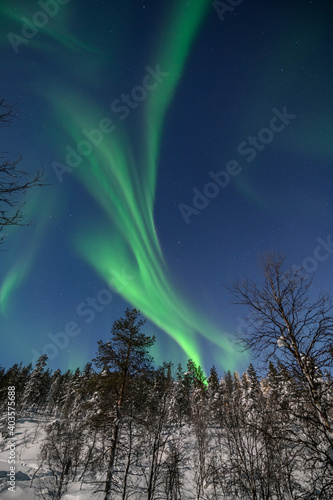 Nordlichter  Aurora Borealis in Lappland 