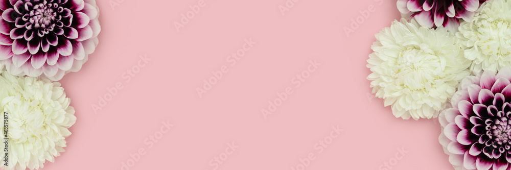 Banner with dahlia flower texture on a pink pastel background with copyspace. Springtime frame. Greeting card concept. Banner with dahlia flower texture on a pink pastel background with copyspace. Springtime frame. Greeting card concept.